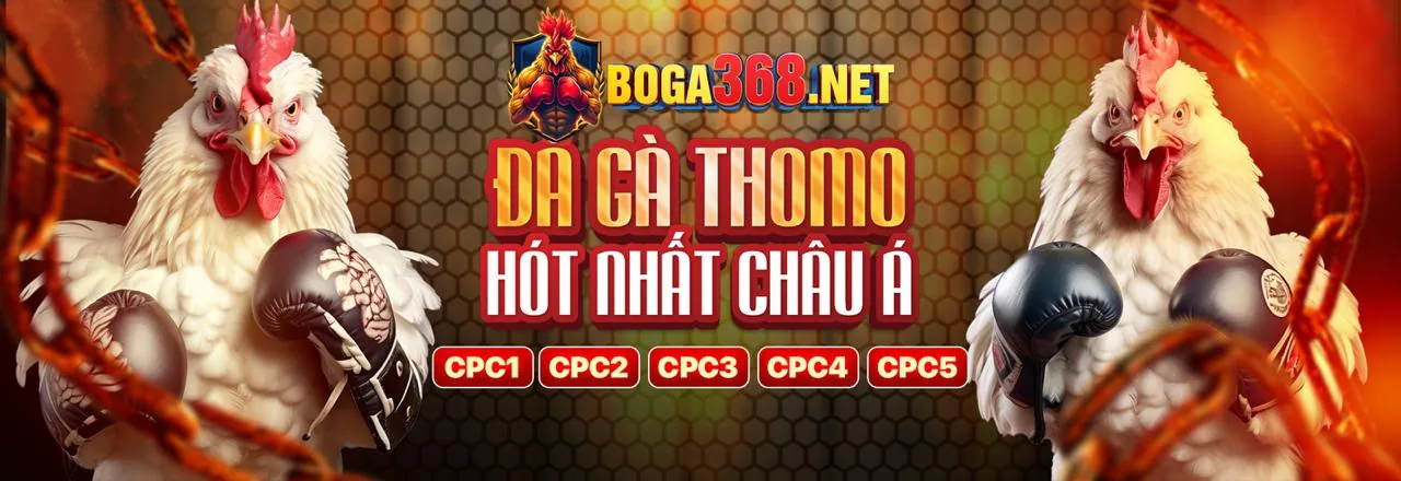 Hình ảnh nền tảng MCW với giao diện an toàn và nhanh chóng